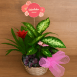 Centro mediano de plantas