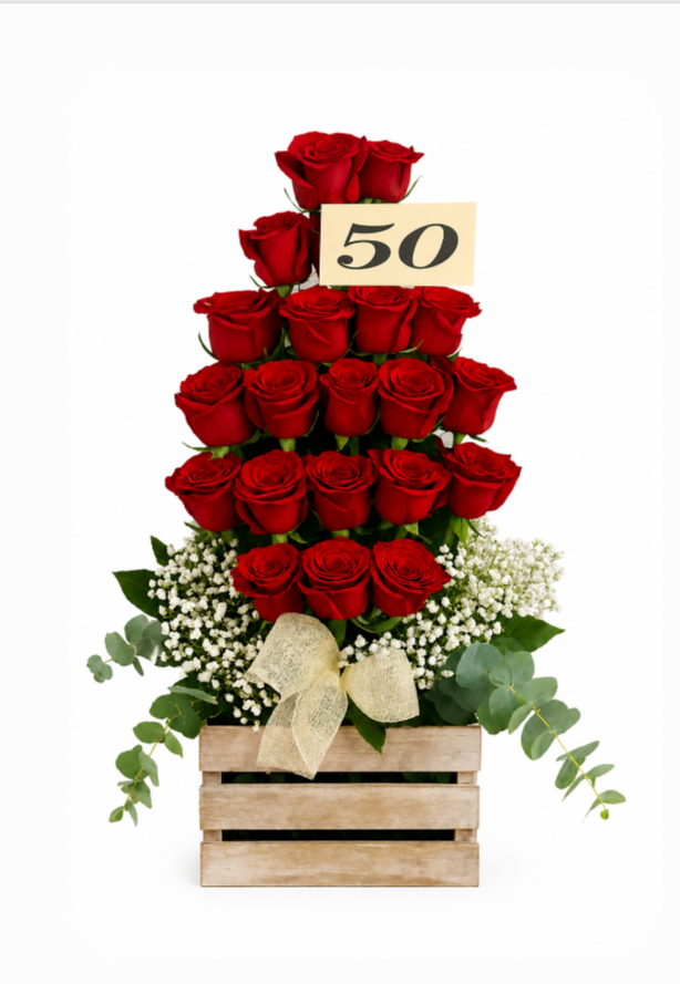 2024/10/1000071453.png