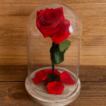Rosa eterna